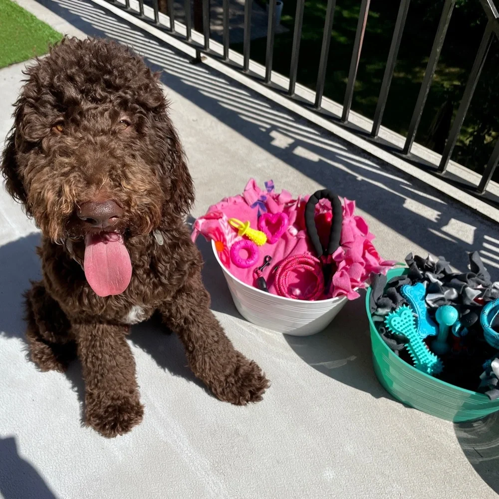 Brand New!🛍️Pet/Dog Gift Baskets 🛍️ for your Fur-baby 🐾🐩Toys, Leash, Blanket